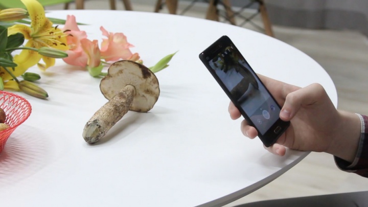 Распознаёт цветы и грибы: челябинские школьники создали приложение для ботаников
