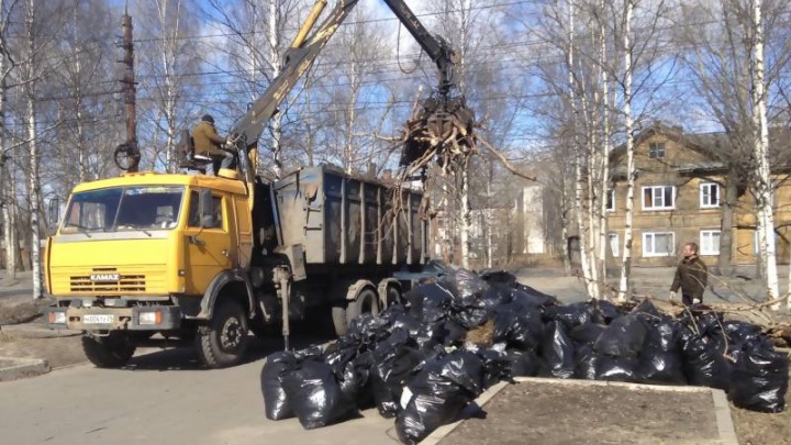 В Ломоносовском парке во время «Эстафеты чистоты» собрали 14 тонн мусора