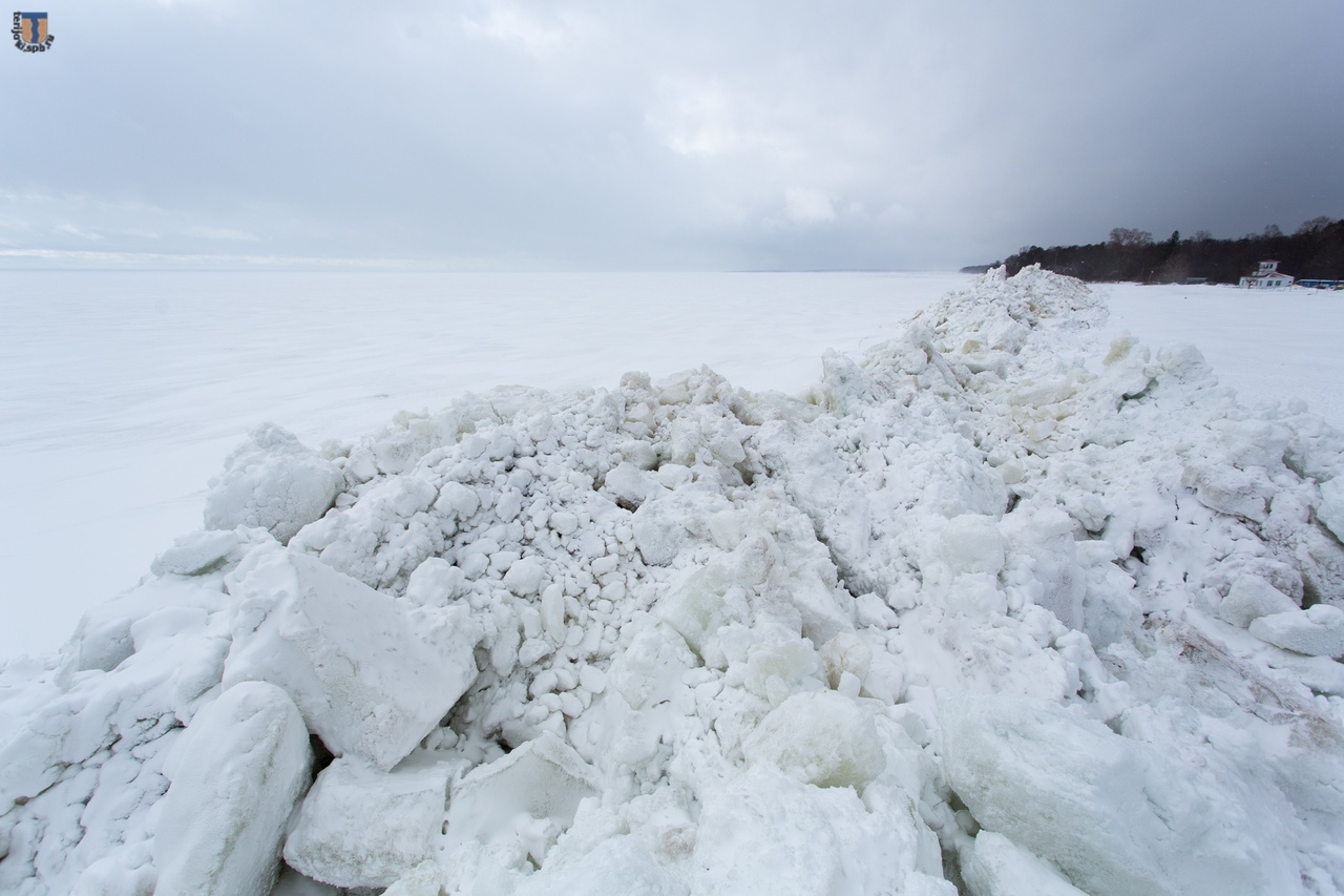 фото предоставлено Александром Браво/<a href="https://terijoki.spb.ru/">terijoki.spb.ru</a>