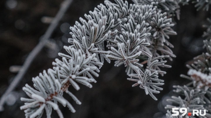 Метели и до –26°C: МЧС предупредило об ухудшении погоды в Прикамье