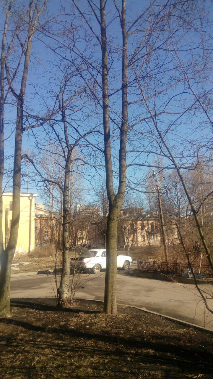 ответы властей