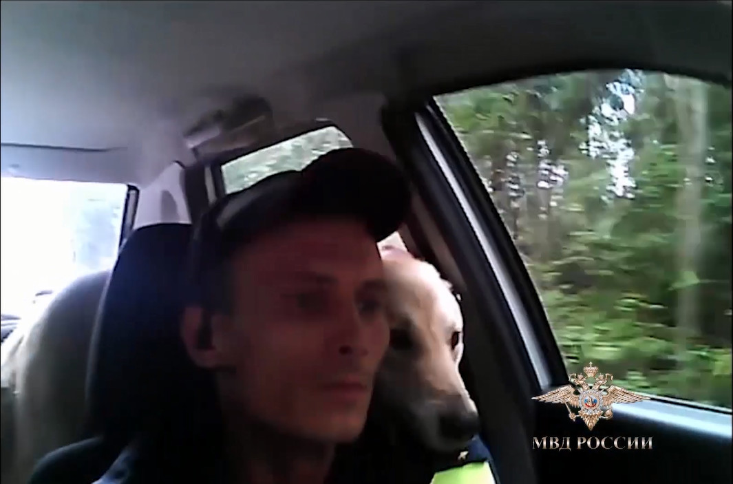 Скриншот с видео