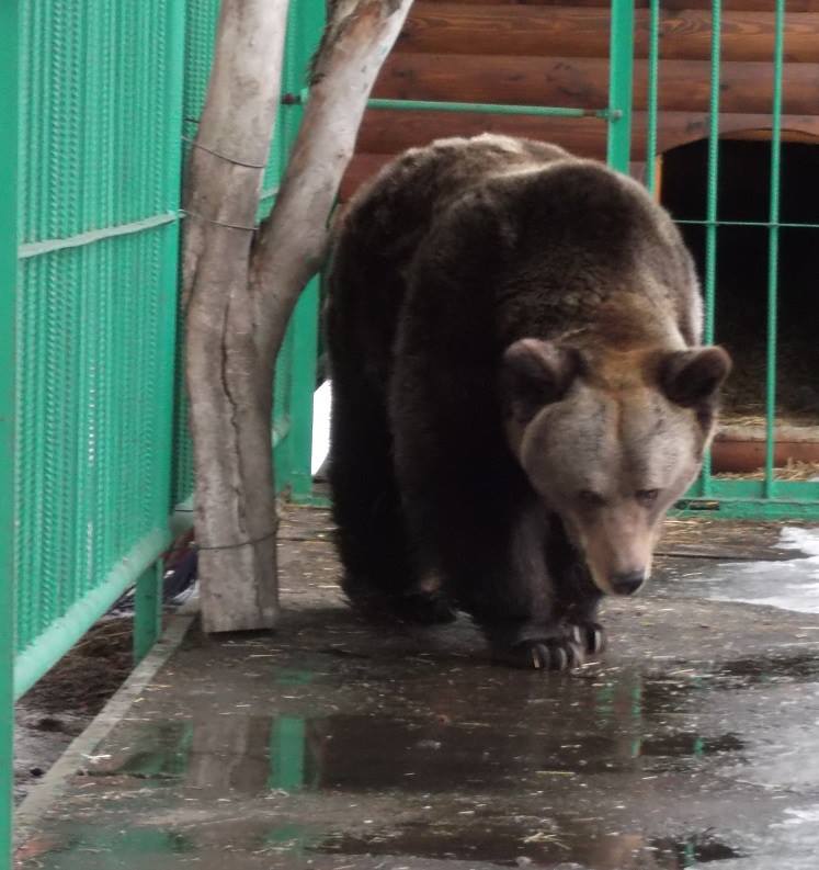Сегодня в Ярославль пришла настоящая весна Сегодня в Ярославль пришла настоящая весна