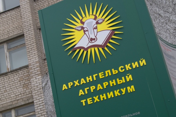 Ущерб составляет около 99000 рублей Ущерб составляет около 99000 рублей