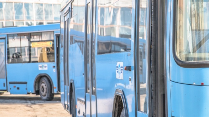 Для школ Самарской области закупили 44 новых автобуса