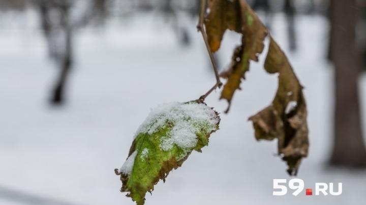 Холода в Прикамье начнутся только в конце недели: публикуем прогноз погоды