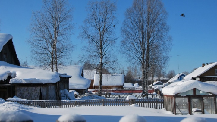 За январь в Холмогорском районе двое мужчин погибли от переохлаждения