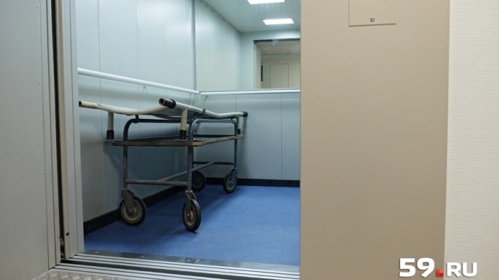 В больницу Чайковского привезли еще одного мужчину с мышиной лихорадкой