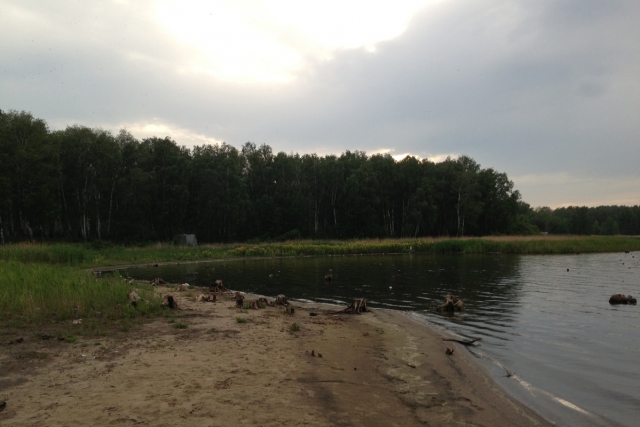 В озеро Курочкино перекачают лишнюю воду из соседнего Смолино В озеро Курочкино перекачают лишнюю воду из соседнего Смолино