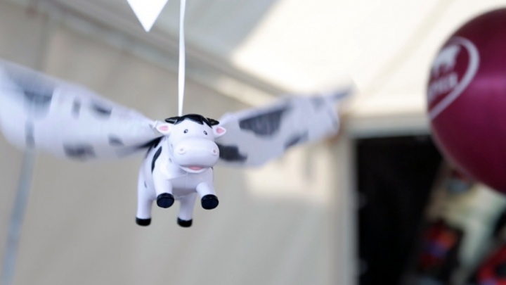 Летающие коровы на выставке «Агро-2017»