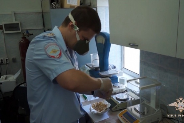 Полицейские изъяли больше 100 килограммов зелья Полицейские изъяли больше 100 килограммов зелья