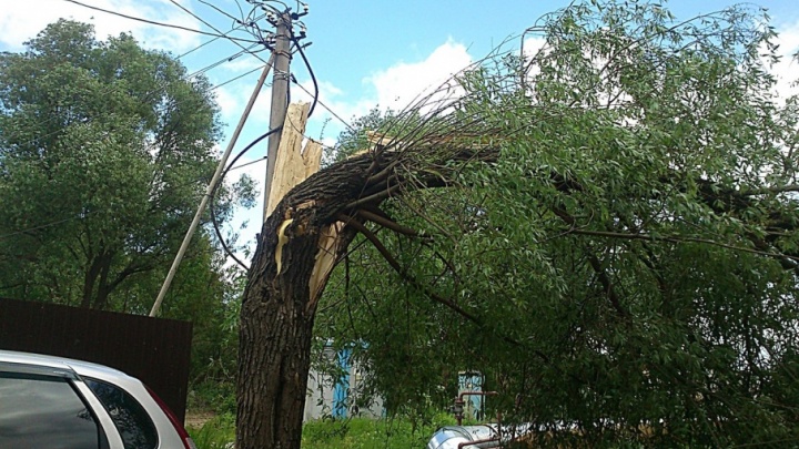 Заблокированы трассы, падают деревья и улетают остановки: ураган в Ярославле в режиме онлайн