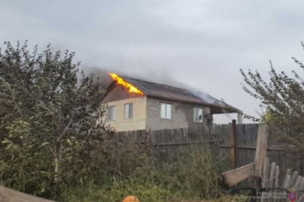 Полицейские занимались спасением дачников вместе с пожарными Полицейские занимались спасением дачников вместе с пожарными