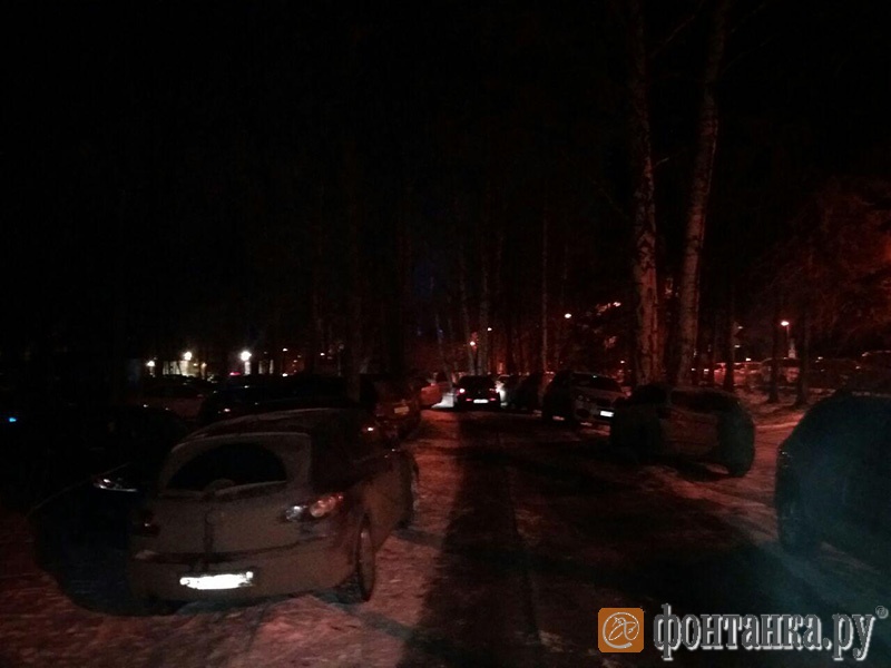 парковка на газонах и велодорожке