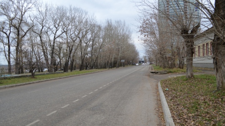 «Яндекс»: самая длинная российская улица находится в Перми