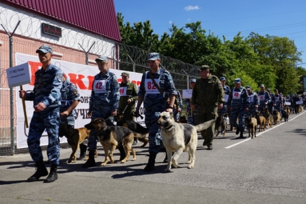 Участники международных соревнований специалистов-кинологов Участники международных соревнований специалистов-кинологов
