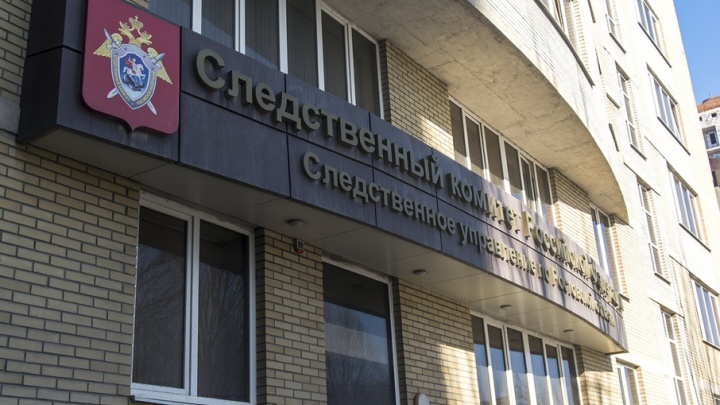 Стрелку из Неклиновского района назначили принудительное лечение