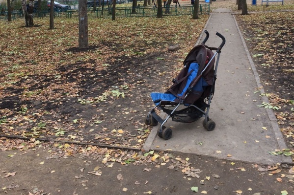 Всего на свет с января по август появилось 36 086 малышей.
Всего на свет с января по август появилось 36 086 малышей.