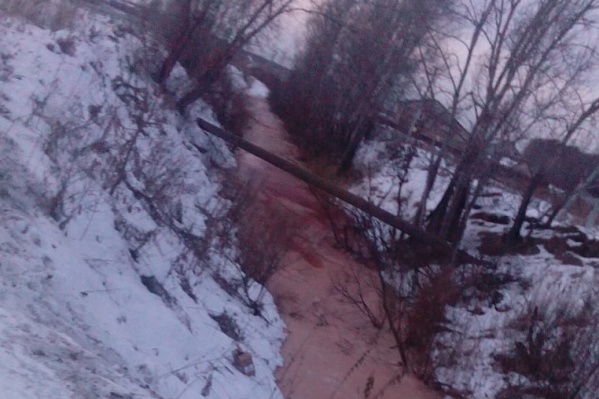 Специалисты предполагали, что грязную воду после забоя скота слил кто-то из частников, но эта информация не подтвердилась Специалисты предполагали, что грязную воду после забоя скота слил кто-то из частников, но эта информация не подтвердилась