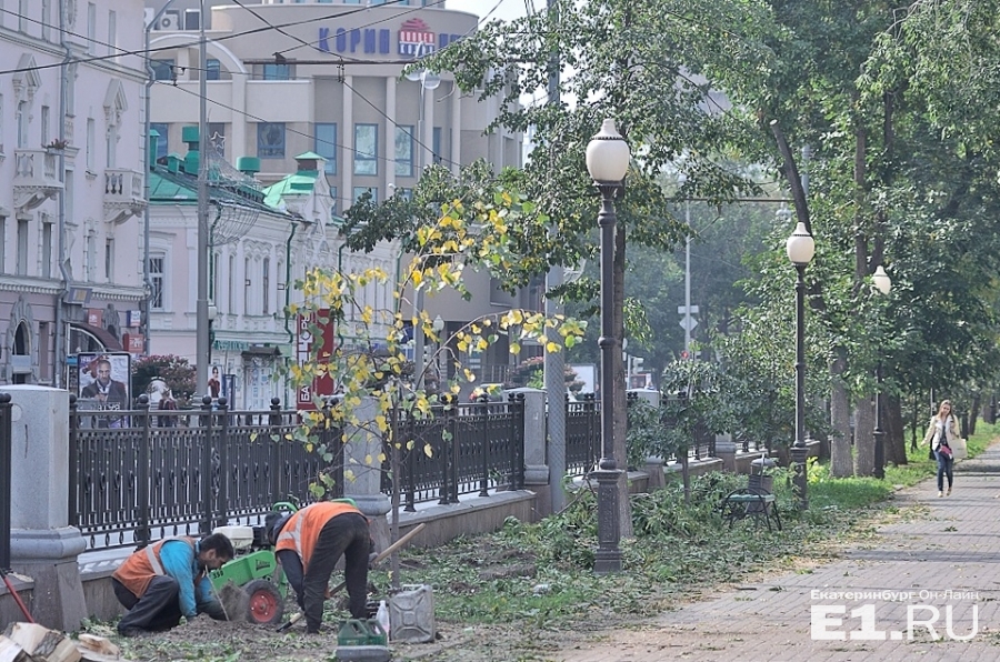 Старые деревья в сквере на проспекте Ленина вырубили несколько лет назад.
Старые деревья в сквере на проспекте Ленина вырубили несколько лет назад.