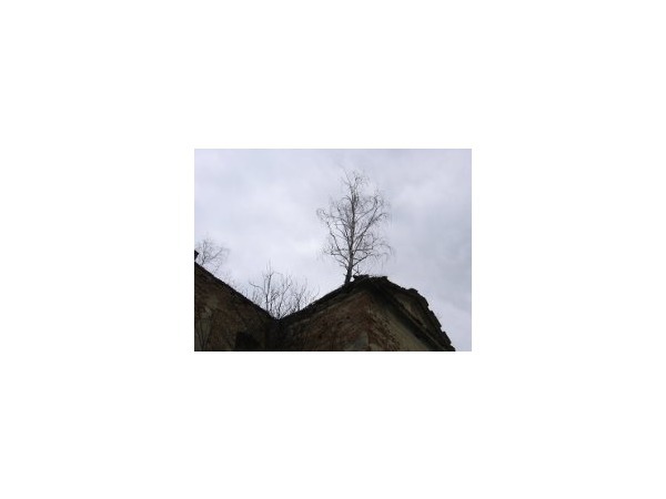 picasaweb.google.com