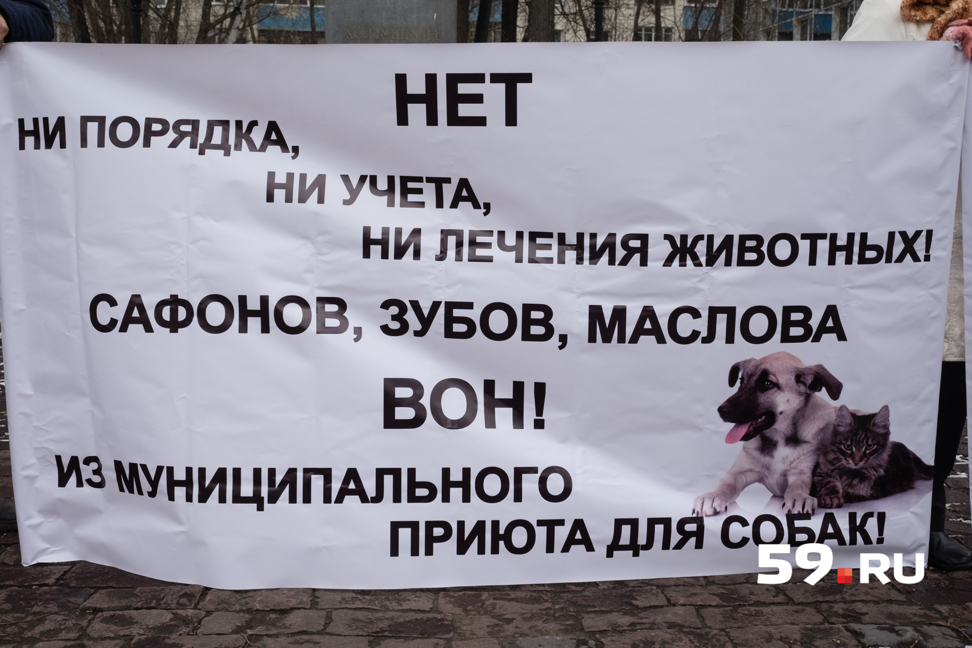 Активисты требуют уволить директора приюта Игоря Сафонова Активисты требуют уволить директора приюта Игоря Сафонова