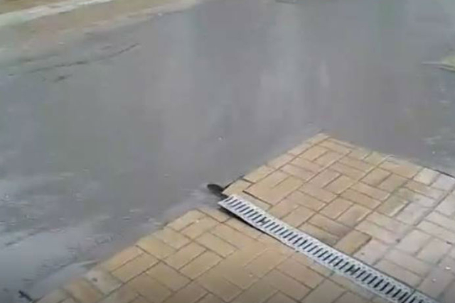 Даже небольшой дождь может затопить центральные улицы Ростова Даже небольшой дождь может затопить центральные улицы Ростова