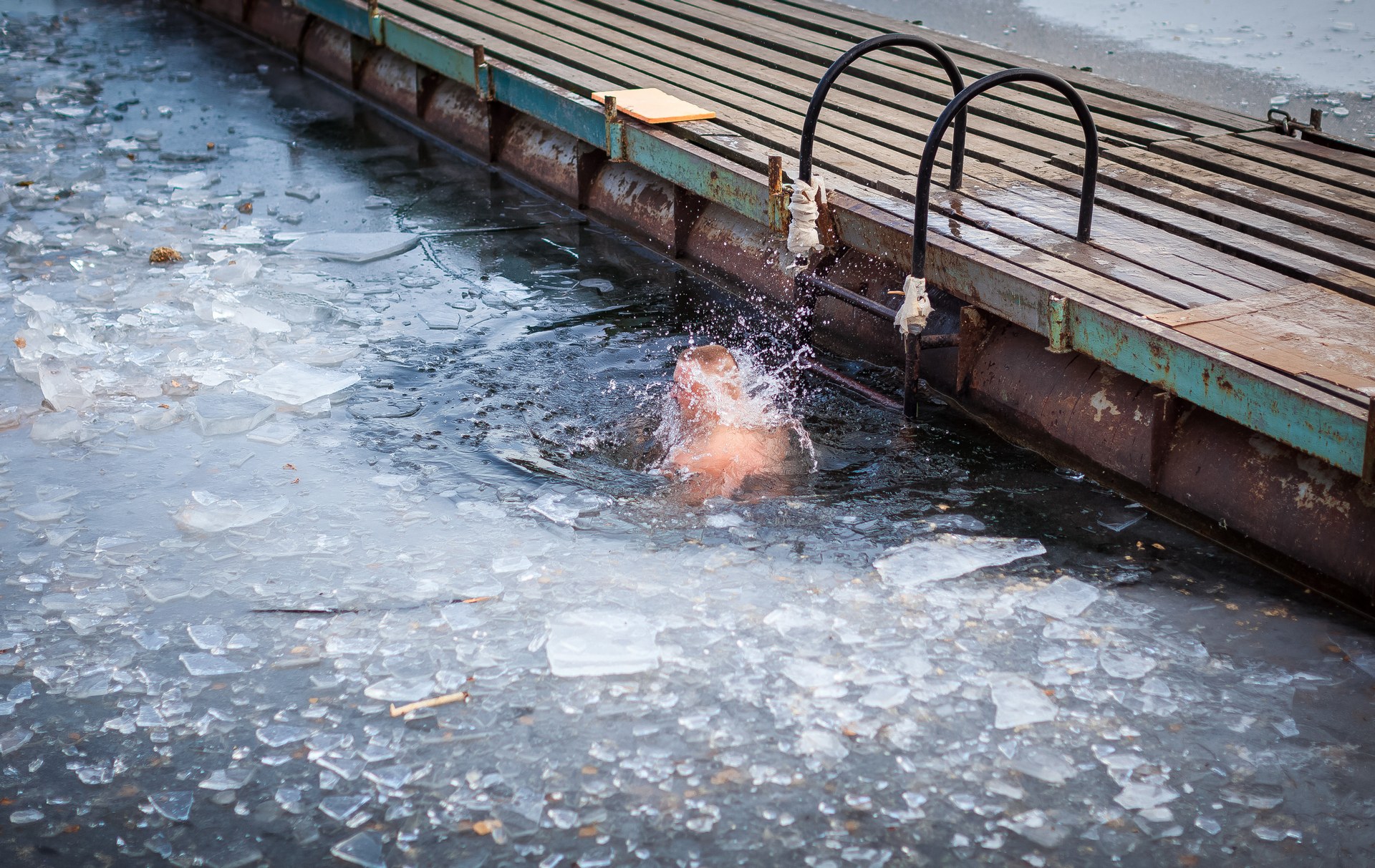 В воду моржи всегда ныряют с головой В воду моржи всегда ныряют с головой