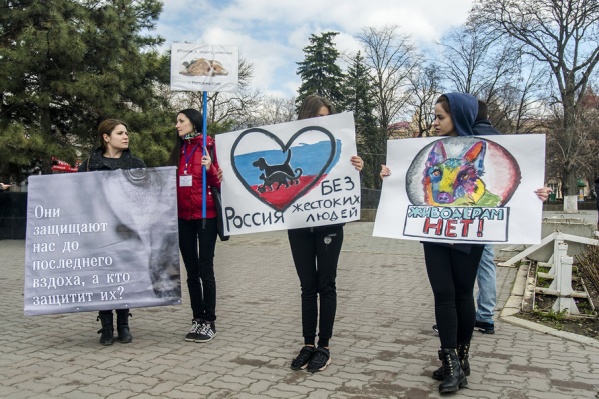 Ростовчане вышли на пикет, чтобы сказать «Нет» догхантерам Ростовчане вышли на пикет, чтобы сказать «Нет» догхантерам