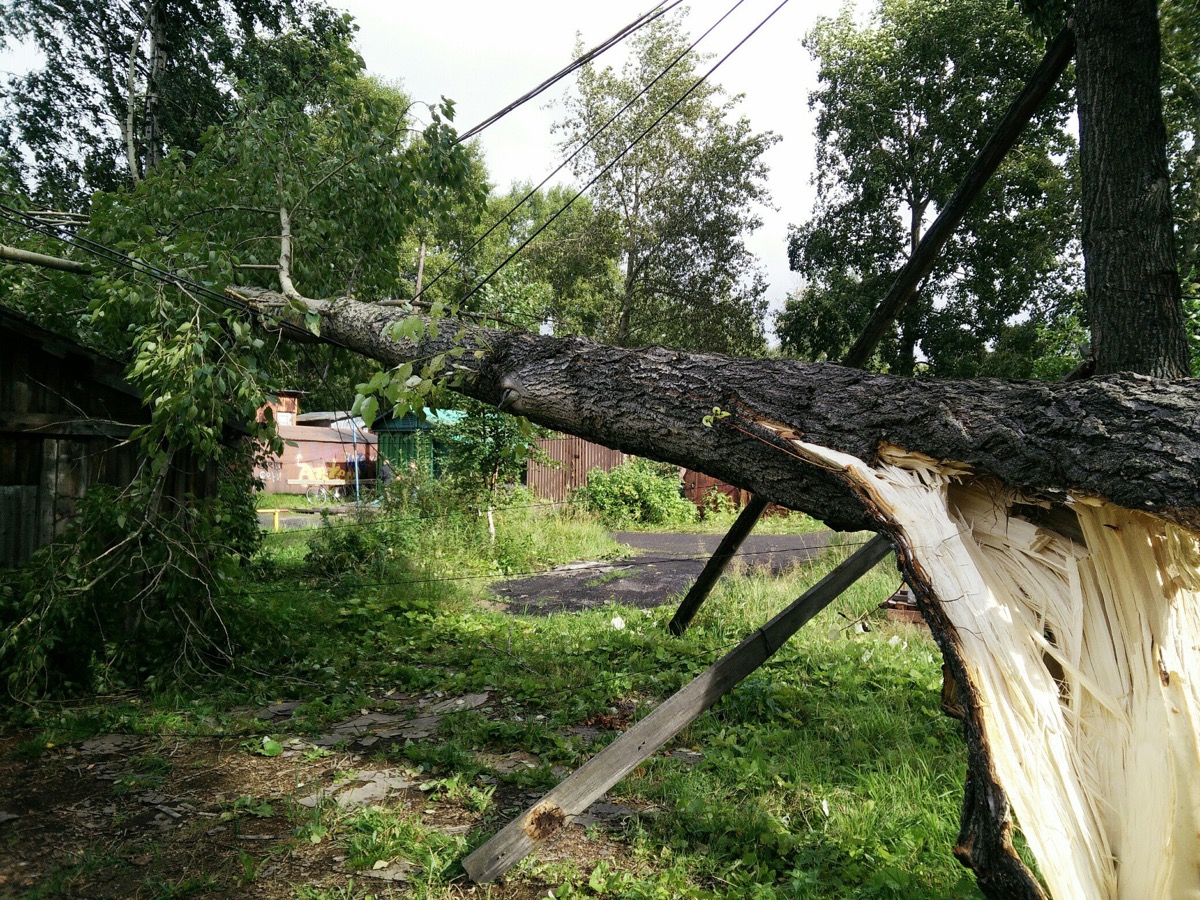 Упало дерево на дачный забор