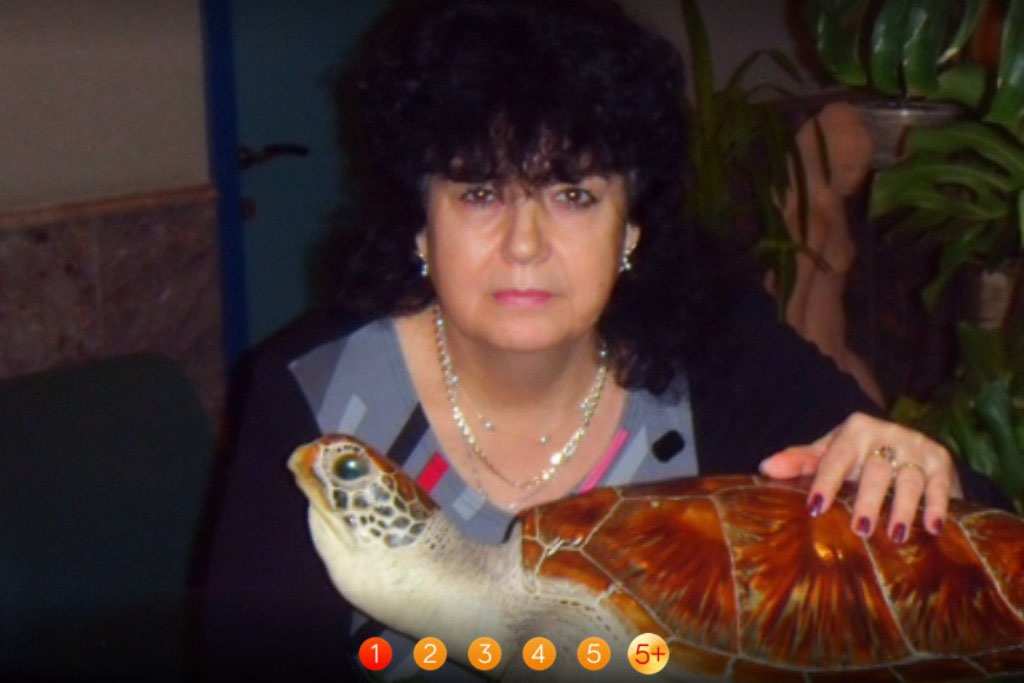 Элла Оленева рассказала Андрею Малахову про своих кроликов, кур и черепаху
