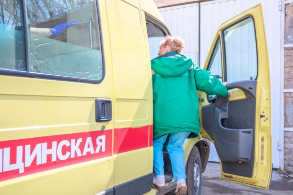 Медики диагностировали у мальчика три укуса Медики диагностировали у мальчика три укуса