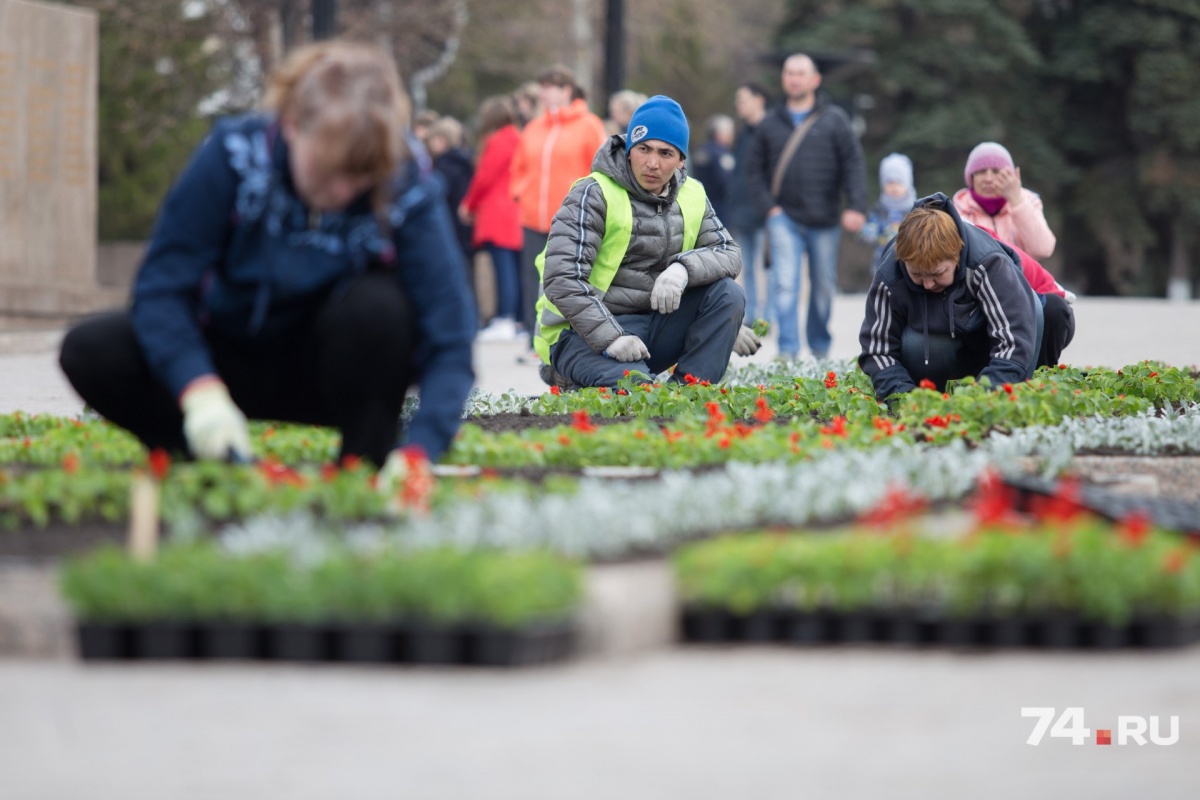В центре Челябинска начали высаживать цветы
