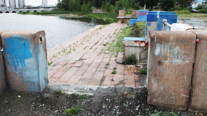 Мусор и камыши в реке Миасс вызвали недовольство главы Челябинска