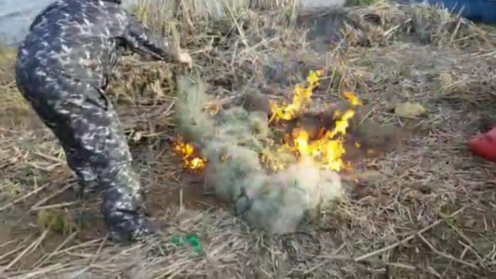 Охота на браконьеров: в Самаре правоохранители сожгли более 2 500 метров рыболовных сетей