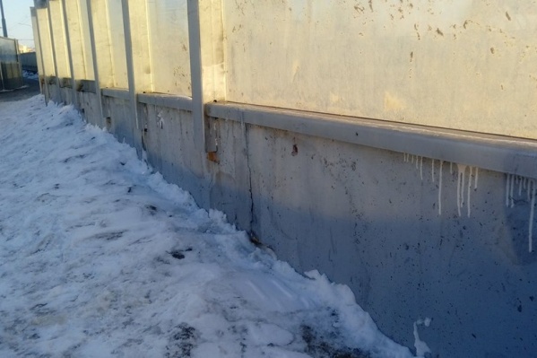 Увиденное на мосту привело активиста в шок Увиденное на мосту привело активиста в шок