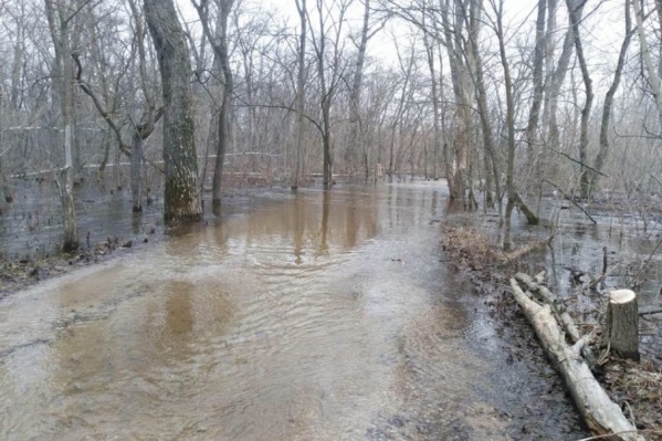 Дороги к полуострову залила вода Дороги к полуострову залила вода