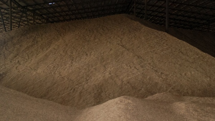 Непроданного зерна на Дону осталось на 20% больше, чем в прошлом году