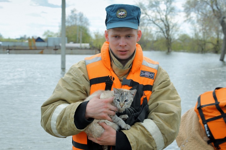 Спасатели помогают и людям, и животным, которые оказались в водной ловушке. Спасатели помогают и людям, и животным, которые оказались в водной ловушке.