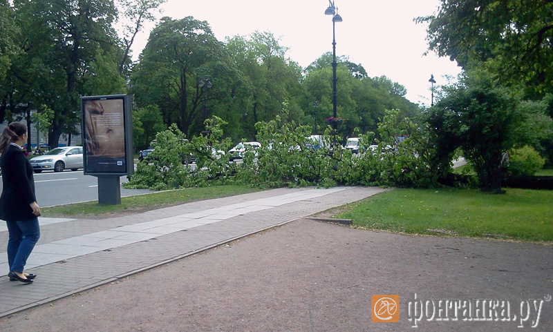 Каменноостровский проспект