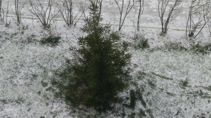 «Зима, я так ждала тебя!»: за ночь Пермь засыпало снегом