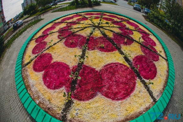 Колбаса и сыр нарисованы специальной краской, а зелень настоящая, живая. Колбаса и сыр нарисованы специальной краской, а зелень настоящая, живая.