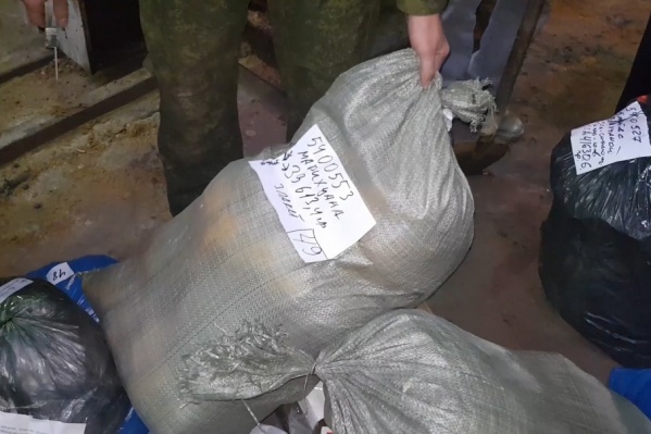 Мешки с «травкой» и гашишом тщательно проверили перед отправкой в домну Мешки с «травкой» и гашишом тщательно проверили перед отправкой в домну