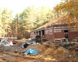 В Курчатовском районе вырубили лес под незаконное строительство кафе