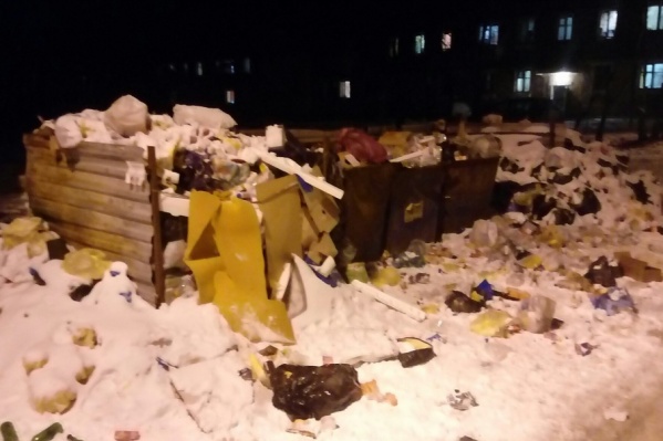 Собаки разорвали все упакованные мешки с мусором Собаки разорвали все упакованные мешки с мусором