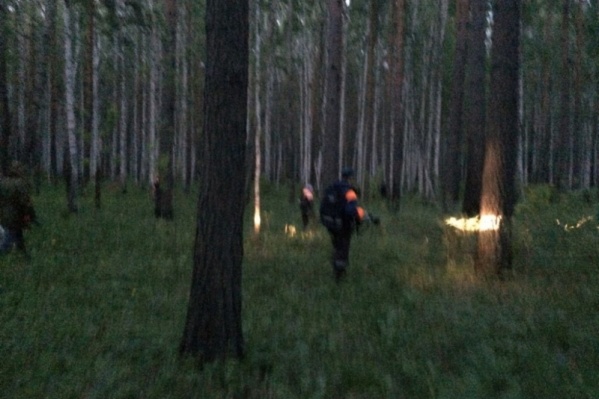 Поиски ребёнка продолжатся на рассвете.
Поиски ребёнка продолжатся на рассвете.