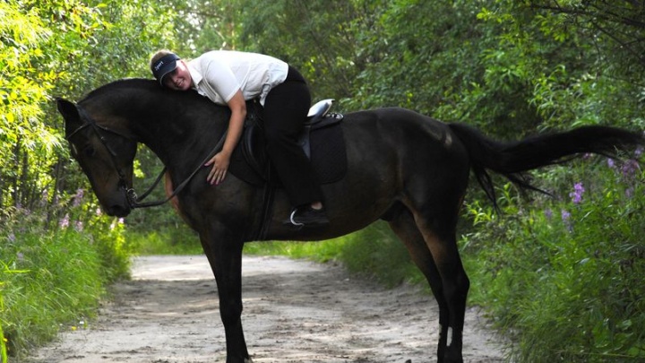 Как «гостиница» для коней под Архангельском помогает лечить душевные травмы