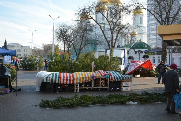 Нарушителям придется заплатить штраф Нарушителям придется заплатить штраф