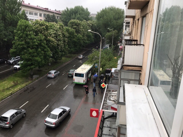 Дерево упало на женщину, ожидавшую автобус Дерево упало на женщину, ожидавшую автобус