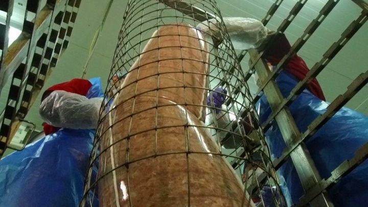 Пошли на рекорд: ростовчане сделали колбасу весом полтонны
